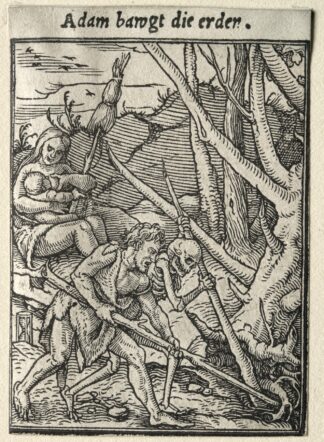 Adam Tilling the Ground by Hans Holbein The Younger