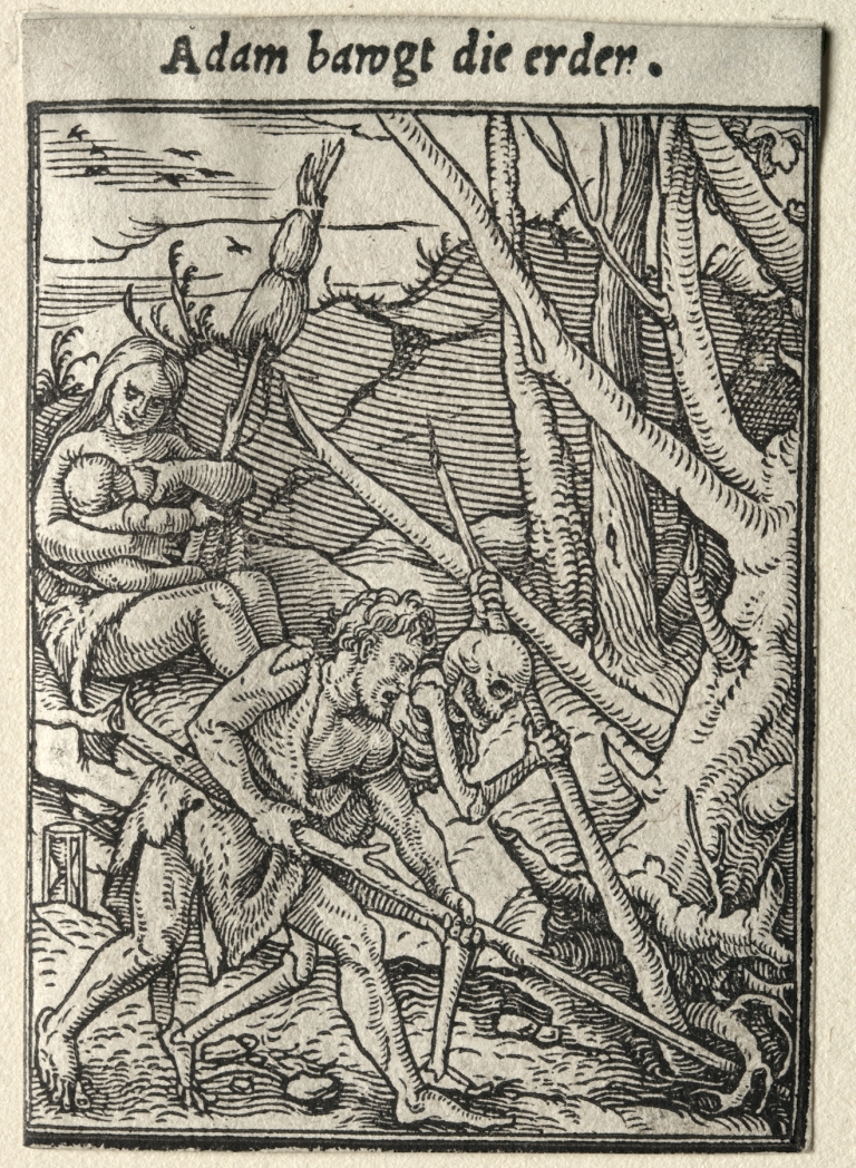 Adam Tilling the Ground by Hans Holbein The Younger