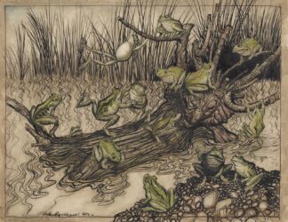 Aesop’s Fables. King Log by Arthur Rackham