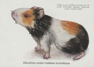 Aleudrine contre l’asthme bronchique by Anonymous