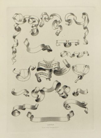 Alphabets: numerals, and devices of the middle ages Pl.46 by Henry Shaw