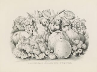 American summer fruits by Currier & Ives.