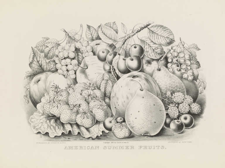 American summer fruits by Currier & Ives.