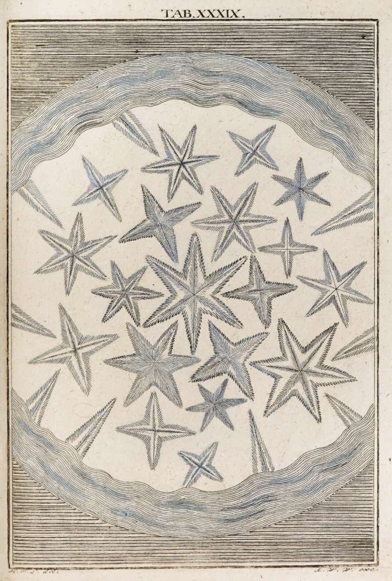 Amusement microscopique tant pour l’esprit, que pour les yeux Pl.040 by Martin Frobenius Ledermüller