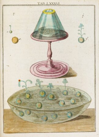 Amusement microscopique tant pour l’esprit, que pour les yeux Pl.086 by Martin Frobenius Ledermüller