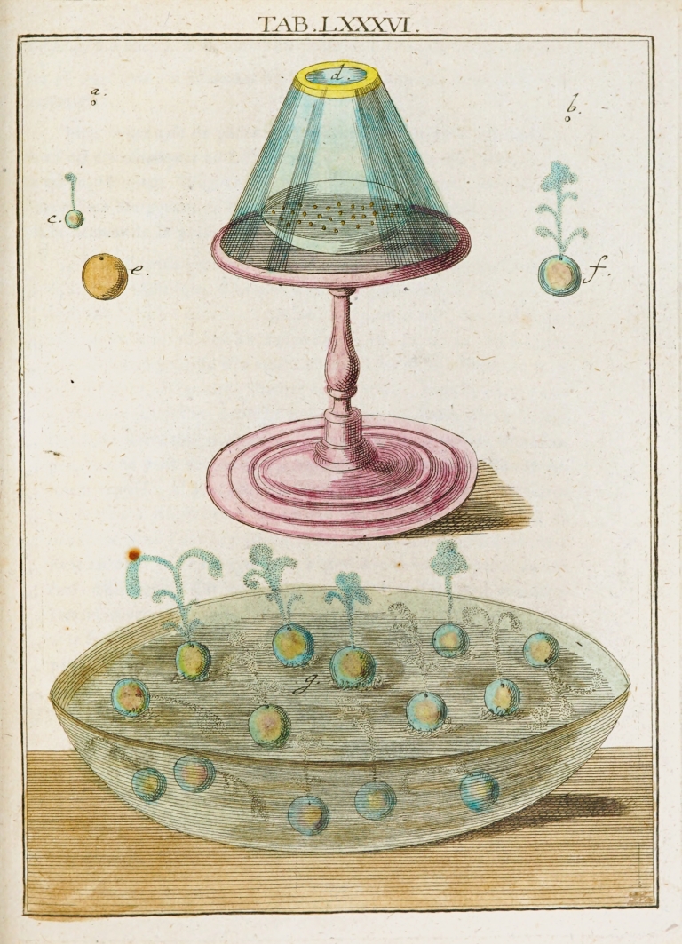 Amusement microscopique tant pour l’esprit, que pour les yeux Pl.086 by Martin Frobenius Ledermüller