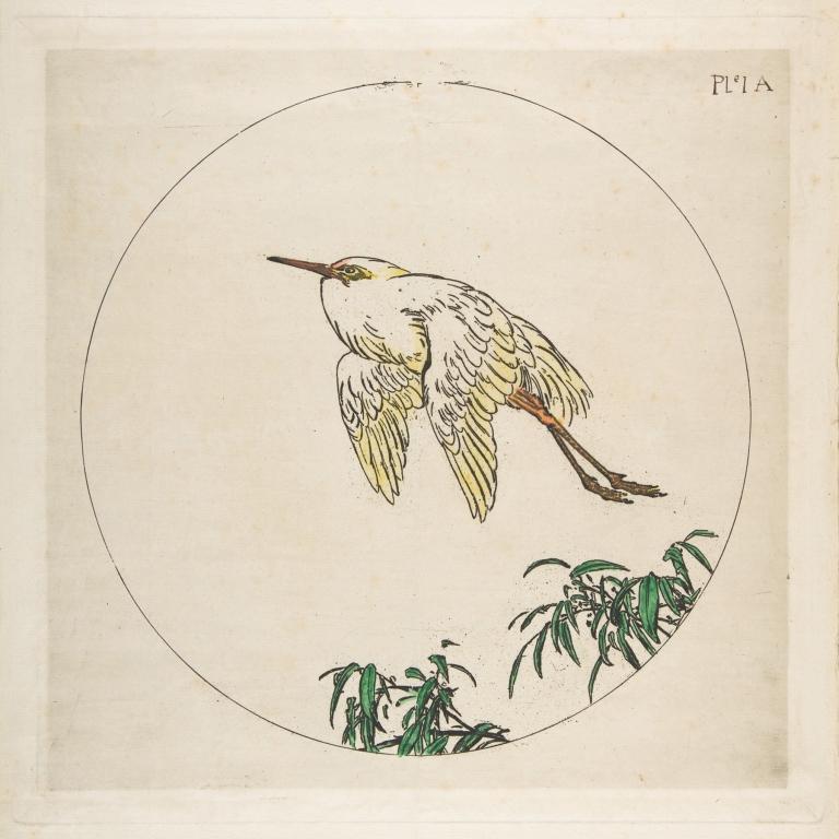 An Egret Flying Above Bamboo Branches by Félix Bracquemond