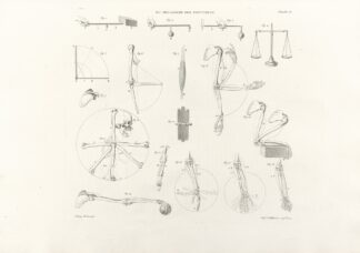 Anatomie du gladiateur combattant Pl.17 by Jean-Galbert Salvage