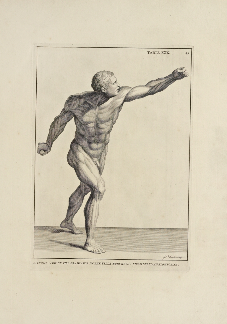 Anatomy improv’d and illustrated with regard to the uses thereof in designing Pl.30 by Michael van der Gucht