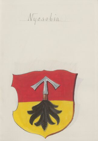 Arma Regni et baronum Poloniae ac M. D. Lithuaniae Pl.028 by Boleslaw Starzyński