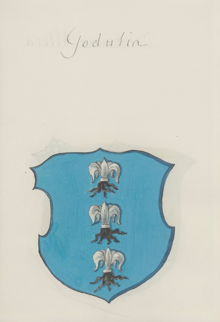 Arma Regni et baronum Poloniae ac M. D. Lithuaniae Pl.050 by Boleslaw Starzyński