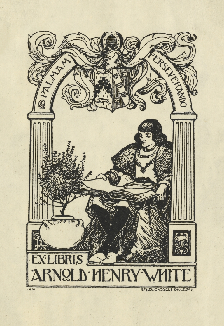 Arnold Henry White by Ethel C. Gillespie