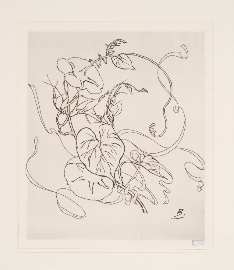Assiette by Félix Bracquemond