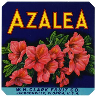 Azalea Fruit Label by Anonymous