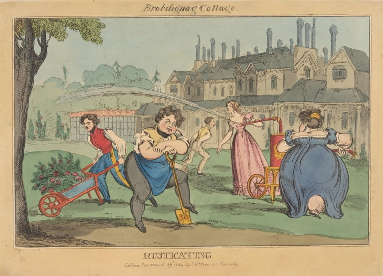 Brobdignag Cottage. Rusticating. by William Heath