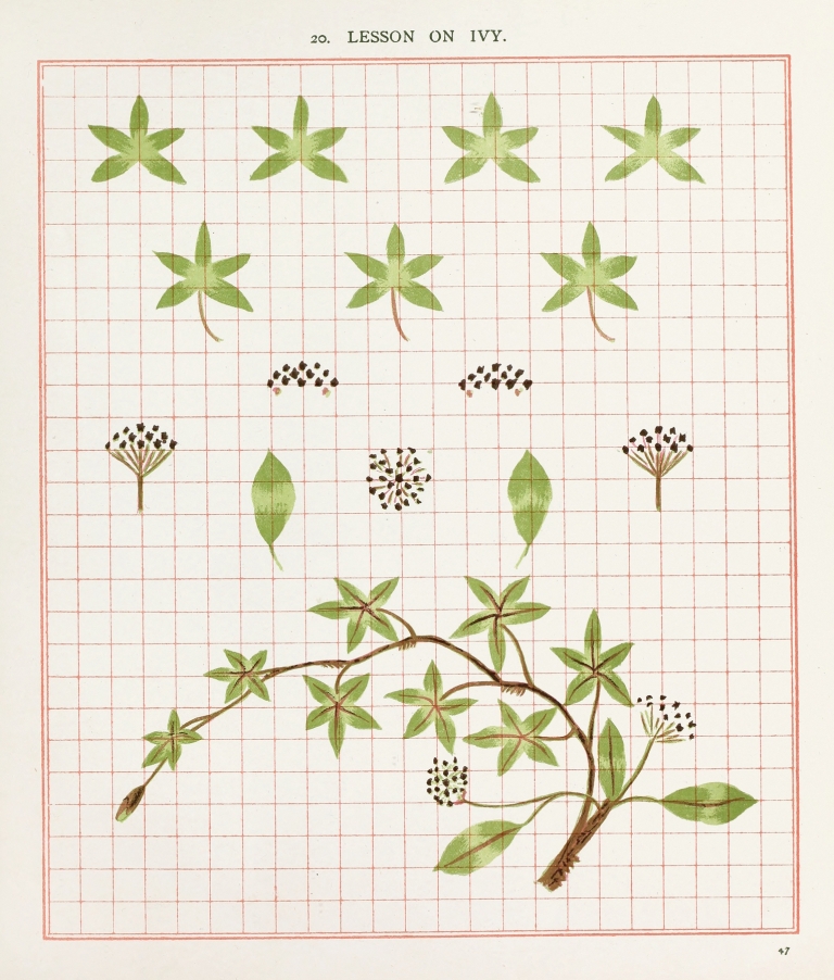 Brushwork Pl.20 by Marion Hudson