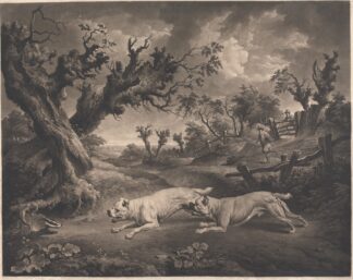 Bull Dogs and Badgers by Charles Towne