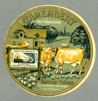 Camembert les paquerettes by Anonymous