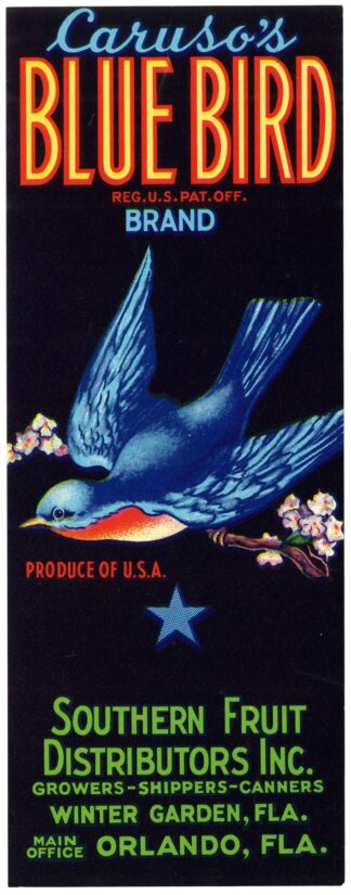 Caruso’s Blue Bird Brand Fruit Label by Anonymous