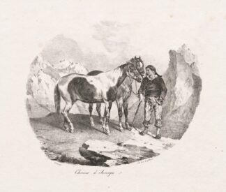 Chevaux d’ Auvergne by Théodore Géricault