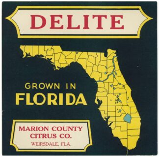 Citrus Label for Delite – Black and Yellow by Anonymous