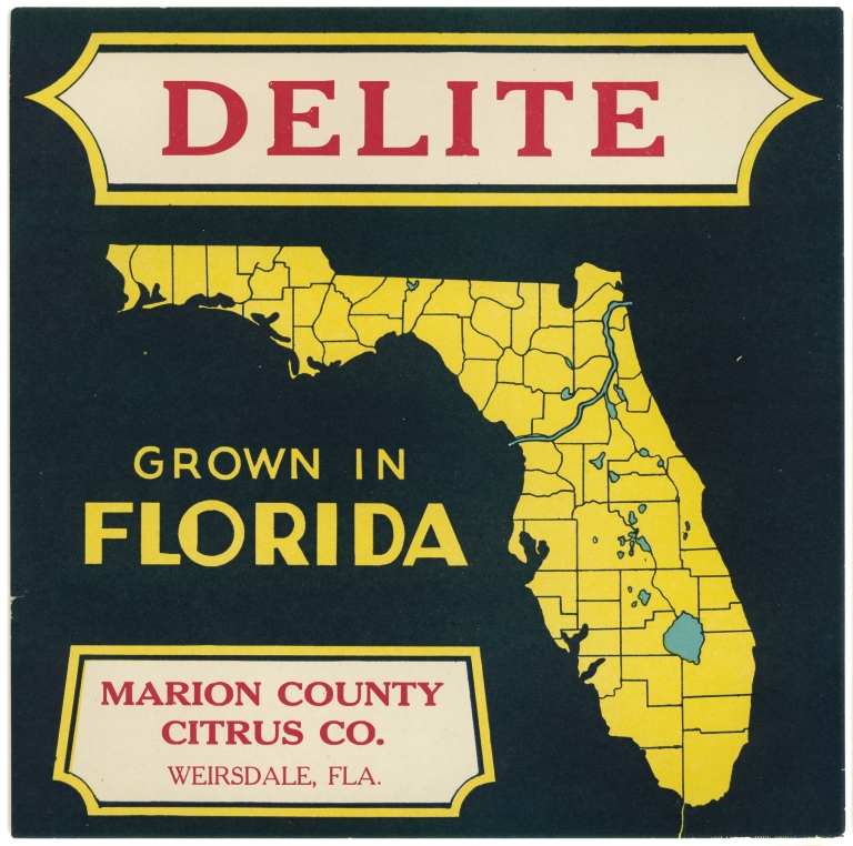 Citrus Label for Delite – Black and Yellow by Anonymous