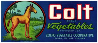 Colt Brand Vegetables Label by Anonymous