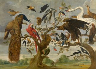 Concert of Birds by Paul de Vos