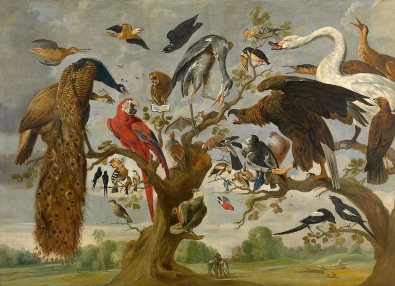 Concert of Birds by Paul de Vos