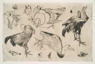 Coqs, canards, etc by Félix Bracquemond