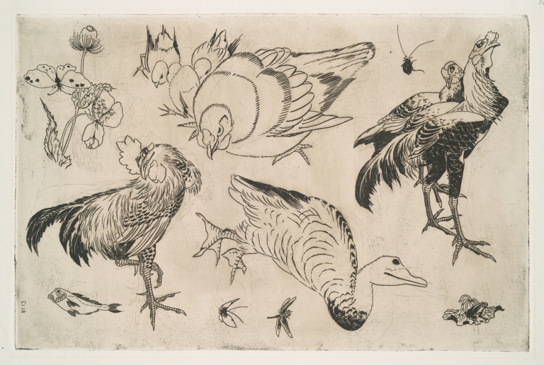 Coqs, canards, etc by Félix Bracquemond