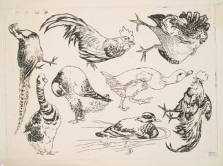 Coqs et canards by Félix Bracquemond