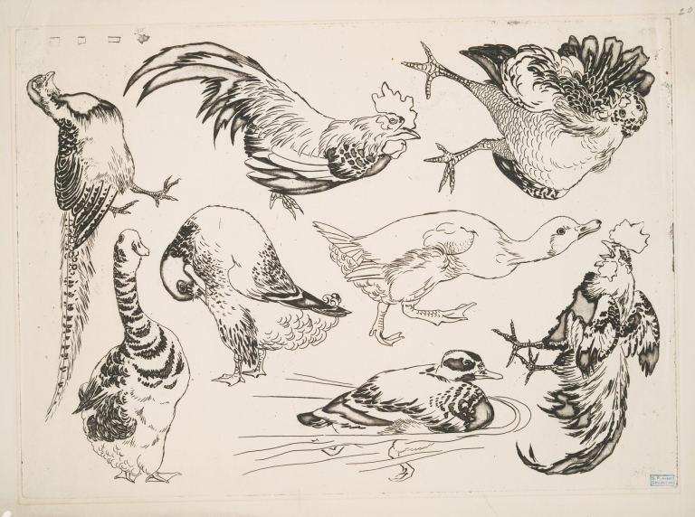 Coqs et canards by Félix Bracquemond