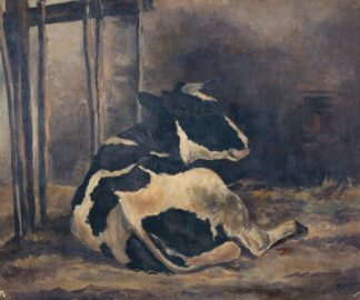 Cow lying down in a cowshed by Floris Verster