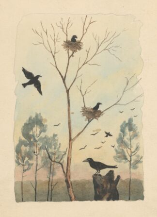 Crow by Andrej Kováčik