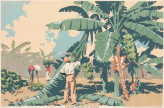 Cutting Bananas In Jamaica by Frank Newbould