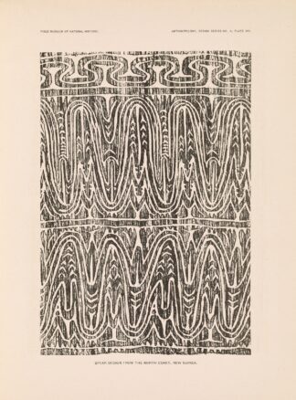 Decorative art of New Guinea Pl.12 by Albert Buell Lewis