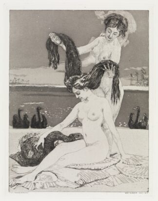 Die Schwäne by Max Klinger