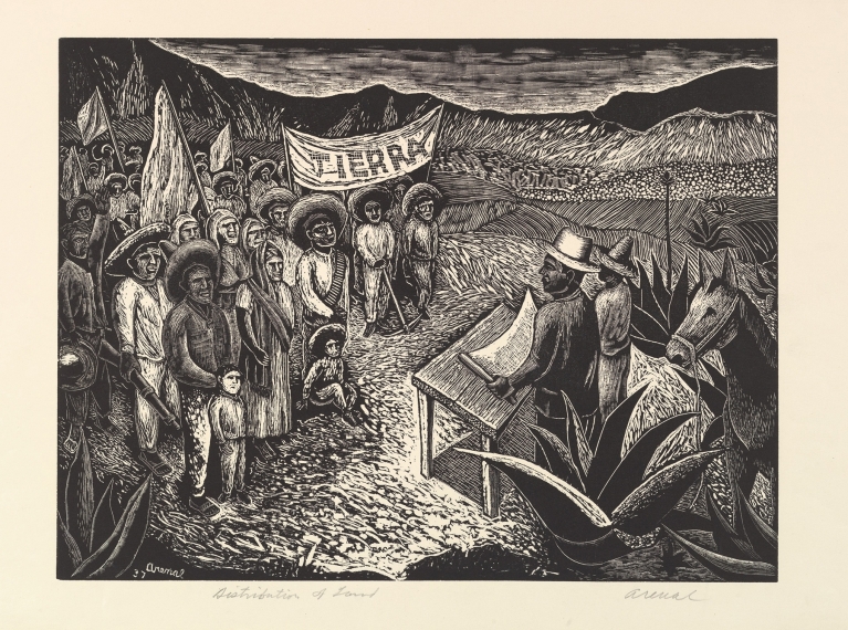 Distribution of Land by Luis Arenal