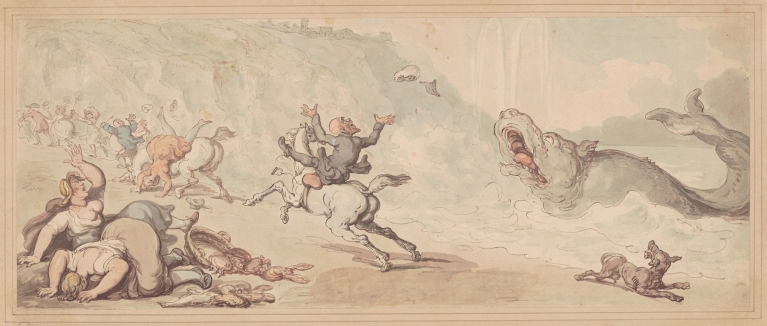 Dr. Syntax and the whale by Thomas Rowlandson