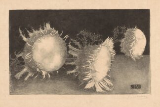 Drie distelbloemen by Jan Mankes