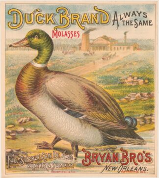 Duck brand molasses. Bryan Bro’s New Orleans by Koeckert & Walle