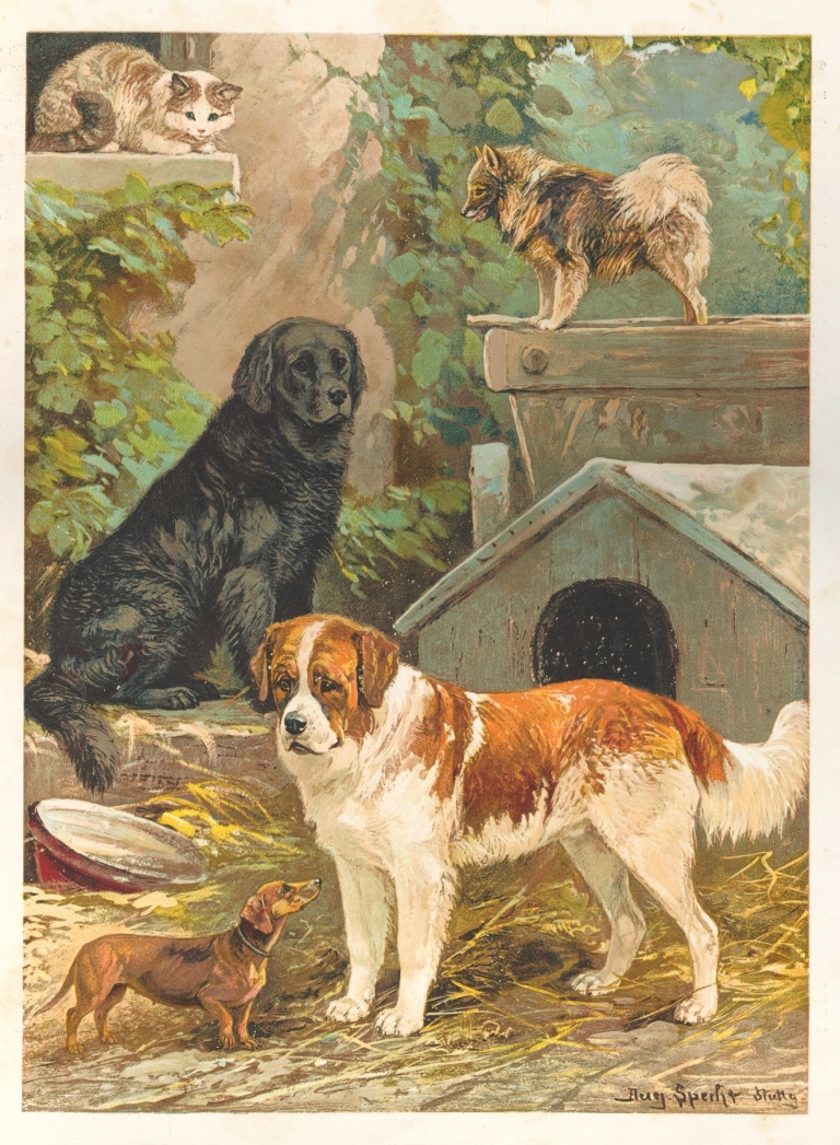 Durch die Welt voller Wonne und Jugendlust! Pl.02 by Ludwig Friedrich Göbelbecker