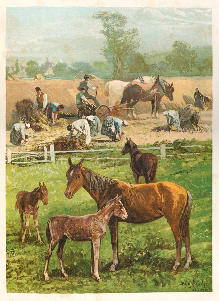 Durch die Welt voller Wonne und Jugendlust! Pl.05 by Ludwig Friedrich Göbelbecker