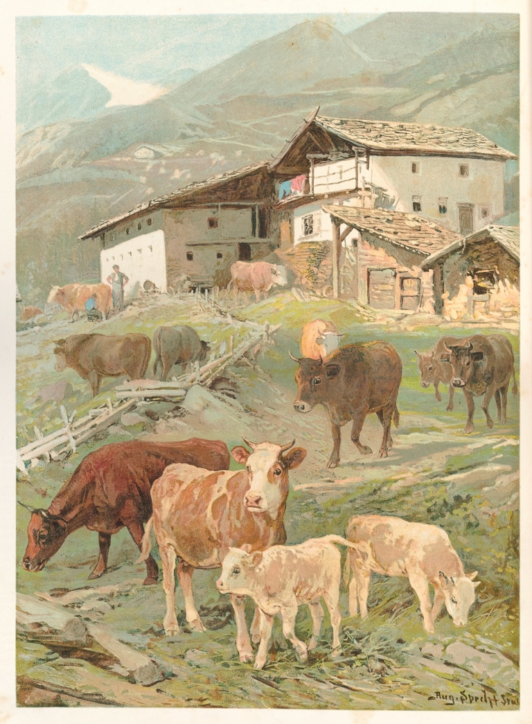 Durch die Welt voller Wonne und Jugendlust! Pl.08 by Ludwig Friedrich Göbelbecker
