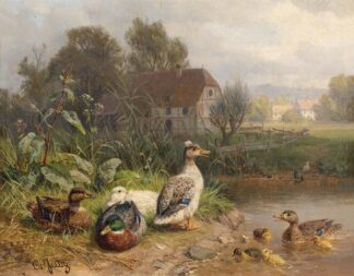 Enten am Teich by Carl Jutz