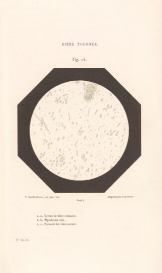 Études Sur Le Vin Pl.09 by Louis Pasteur