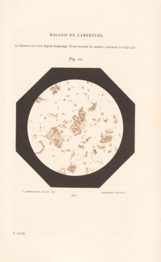 Études Sur Le Vin Pl.15 by Louis Pasteur