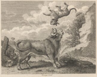 Fable IX. The Bull and the Mastiff by John Wootton