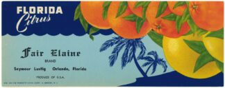 Fair Elaine Brand Florida Citrus Label by Anonymous